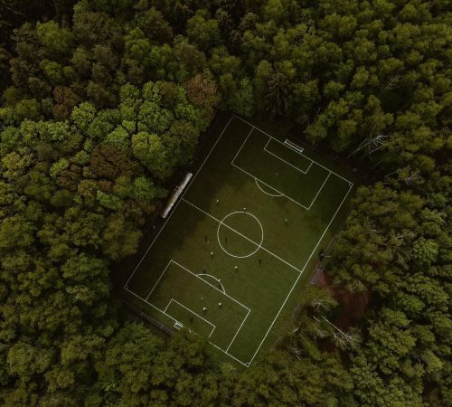 cesped artificial dron bosque