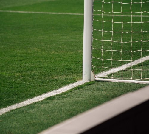 cesped hibrido equipamiento