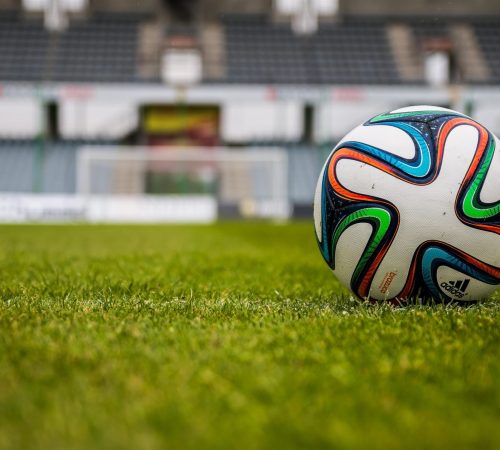 cesped natural futbol