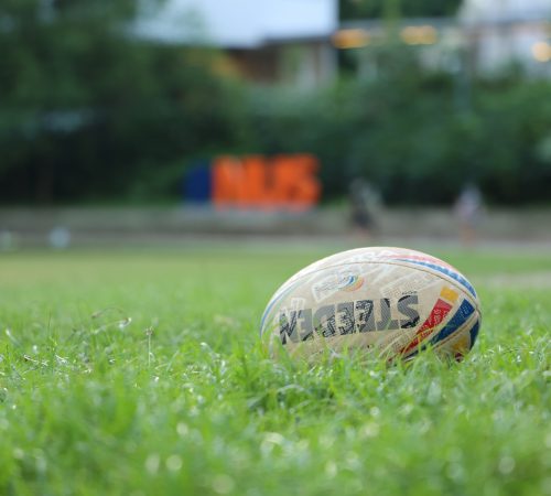 rugby natural grass